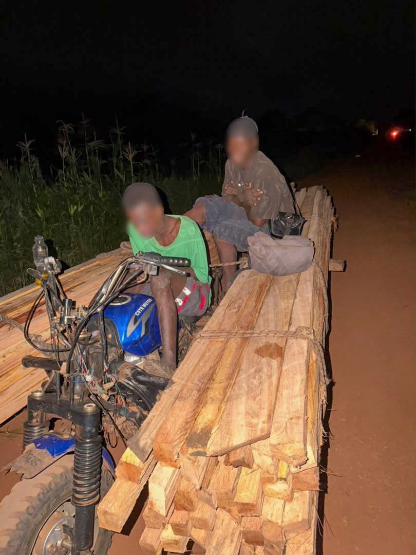 COUPE ILLICITE  DE BOIS : DEUX INDIVIDUS INTERPELLÉS À KEDOUGOU